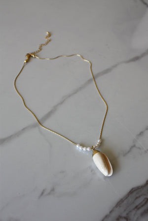 Seashell Necklace